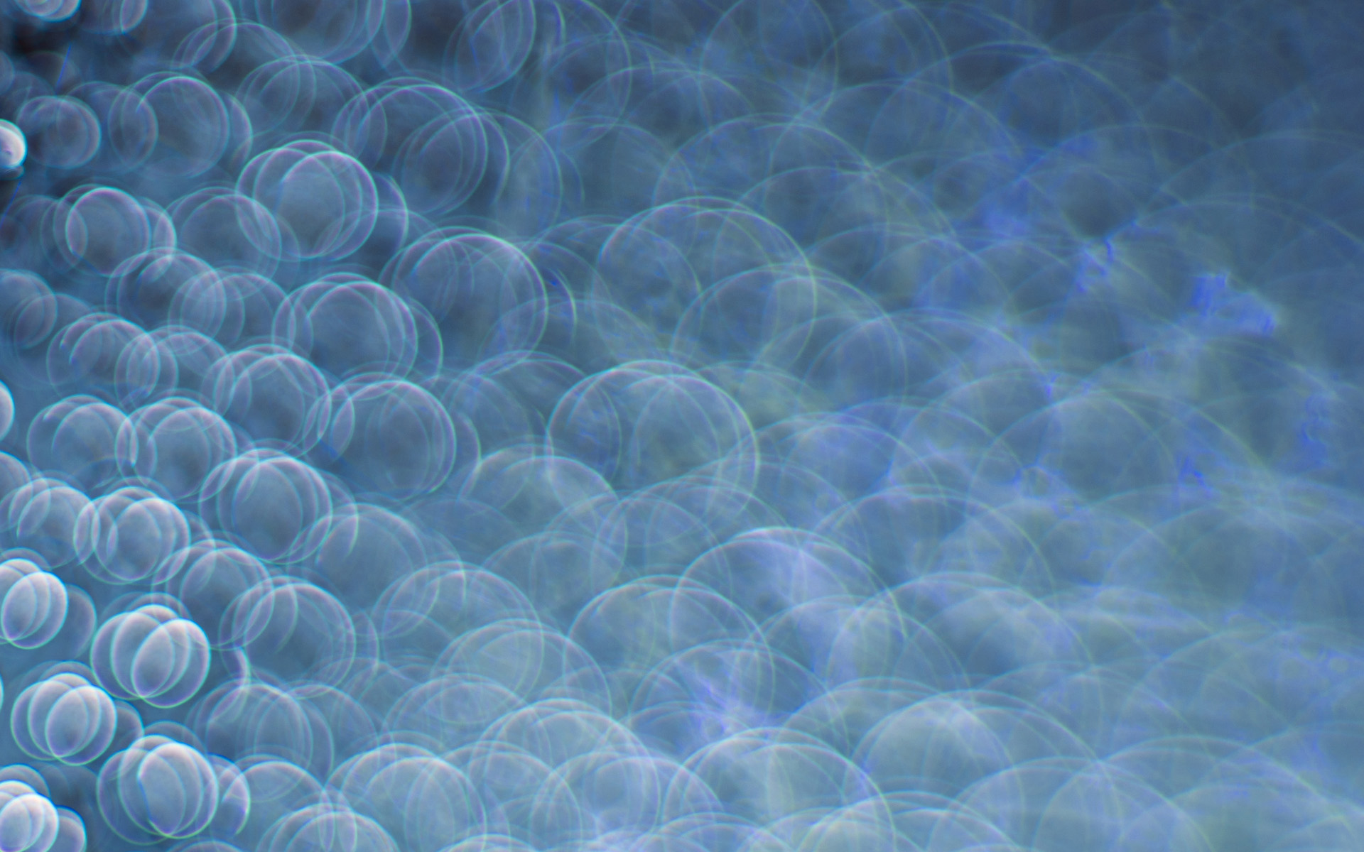 parallax-img